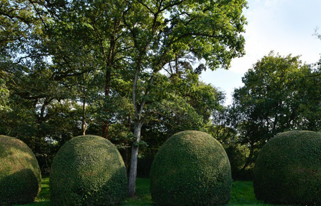 Topiaires de buis Chateau le Puy